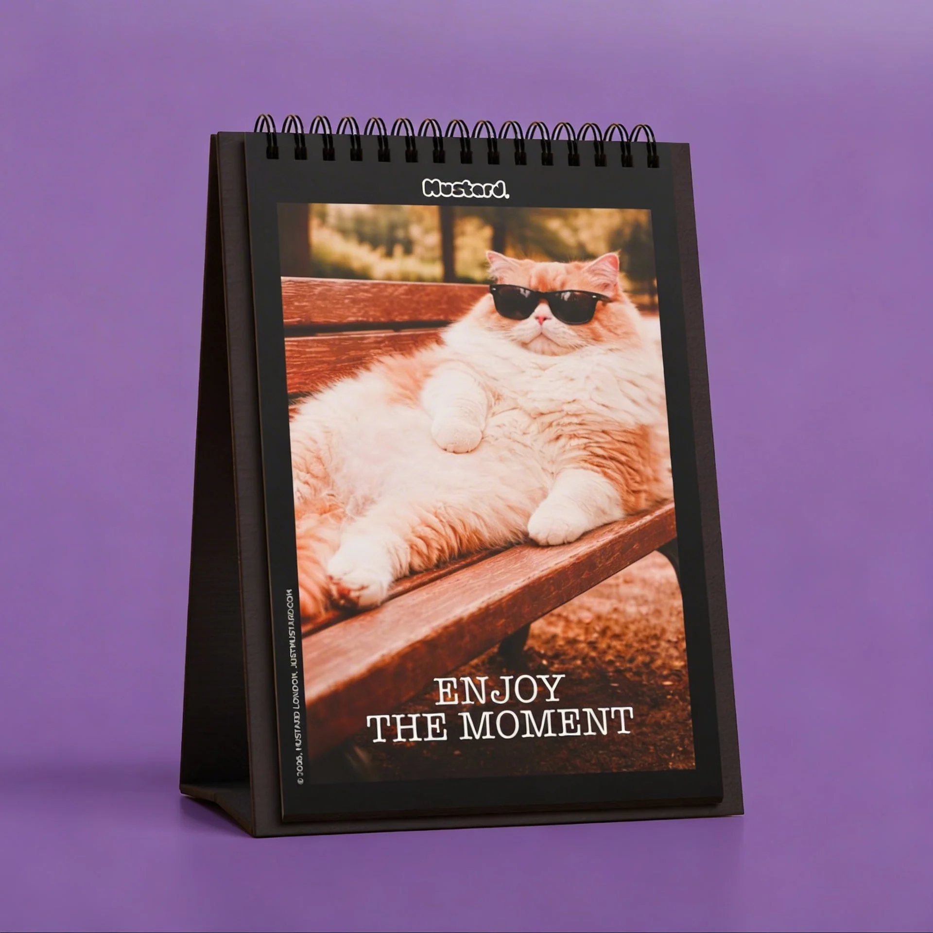 Be More Cat - Peak Performance. Minimal Effort - Image 3