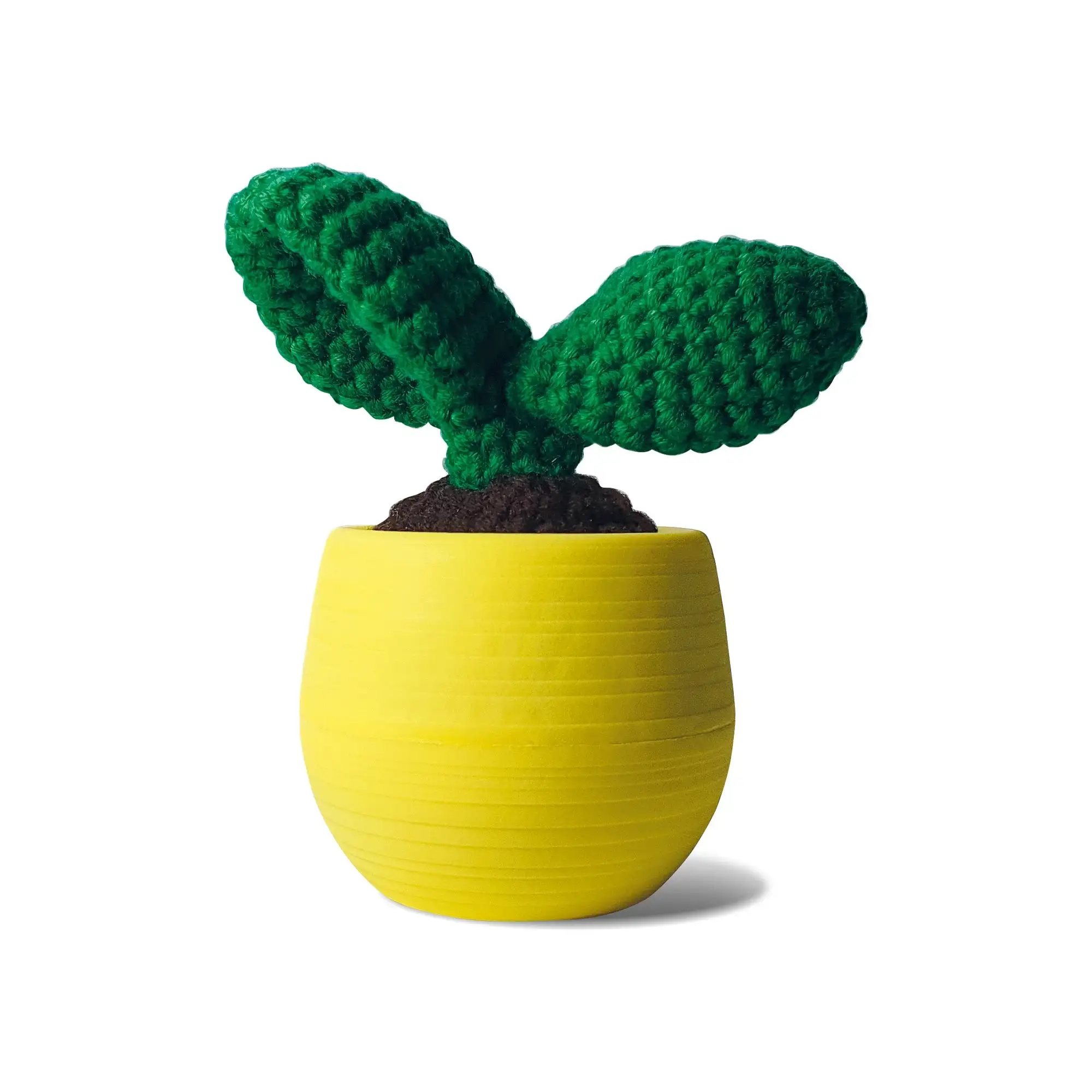 Cactus Leaf Crochet Kit For Beginners: Leaf - Image 2