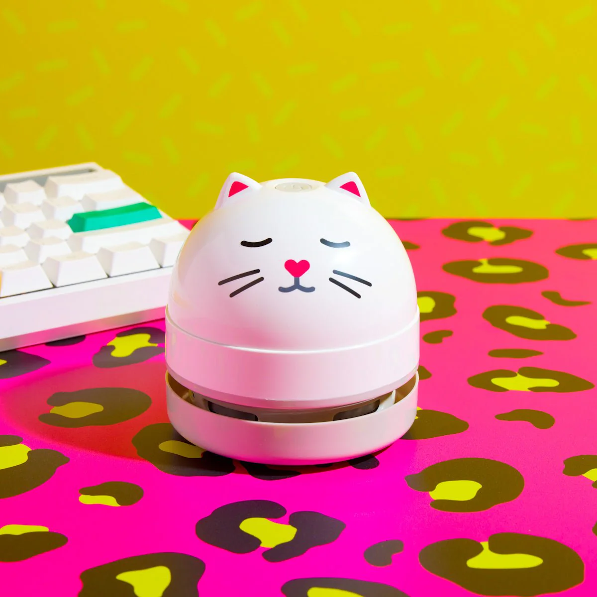 Cat Vac