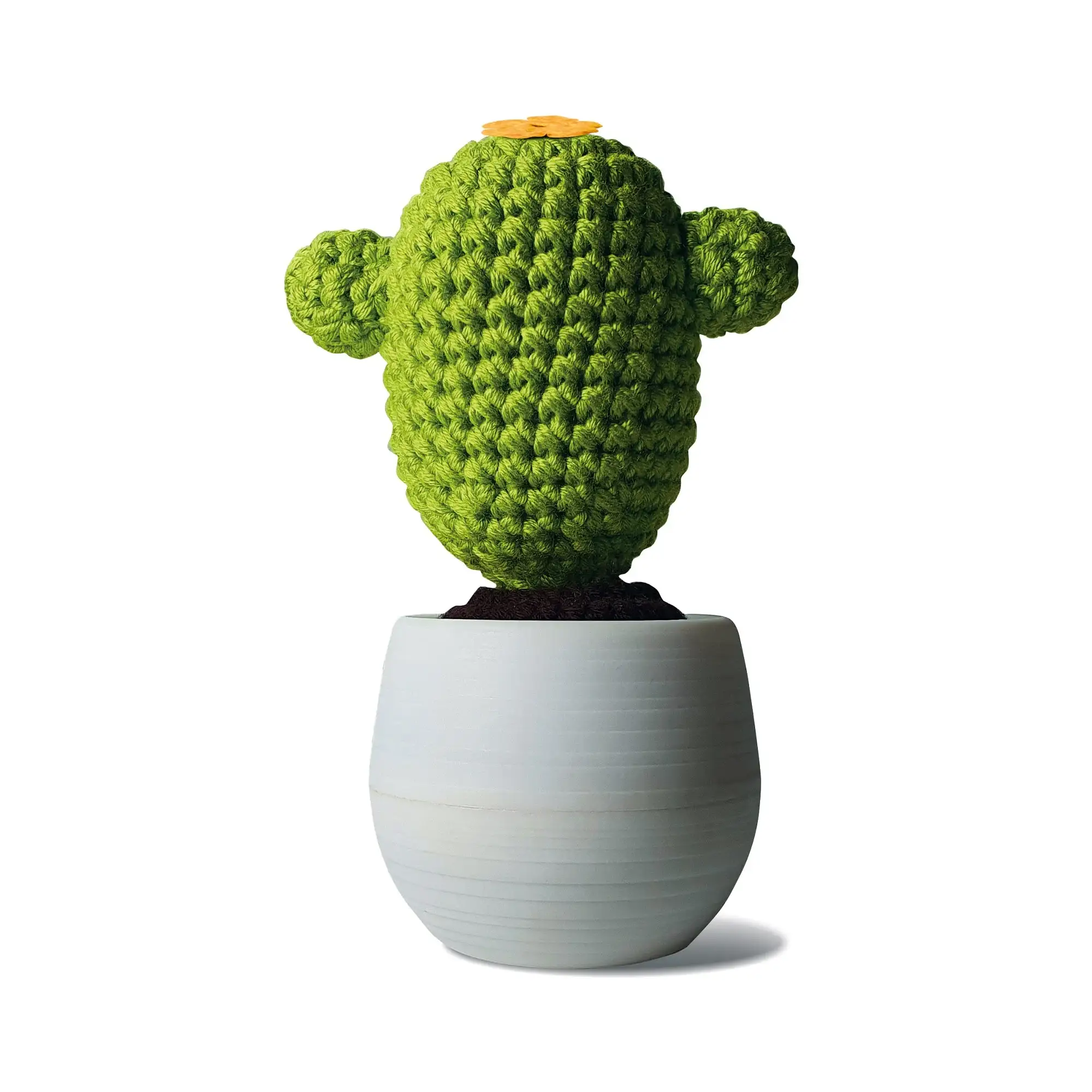 Discover Cactus Classic Crochet Kit - Image 4