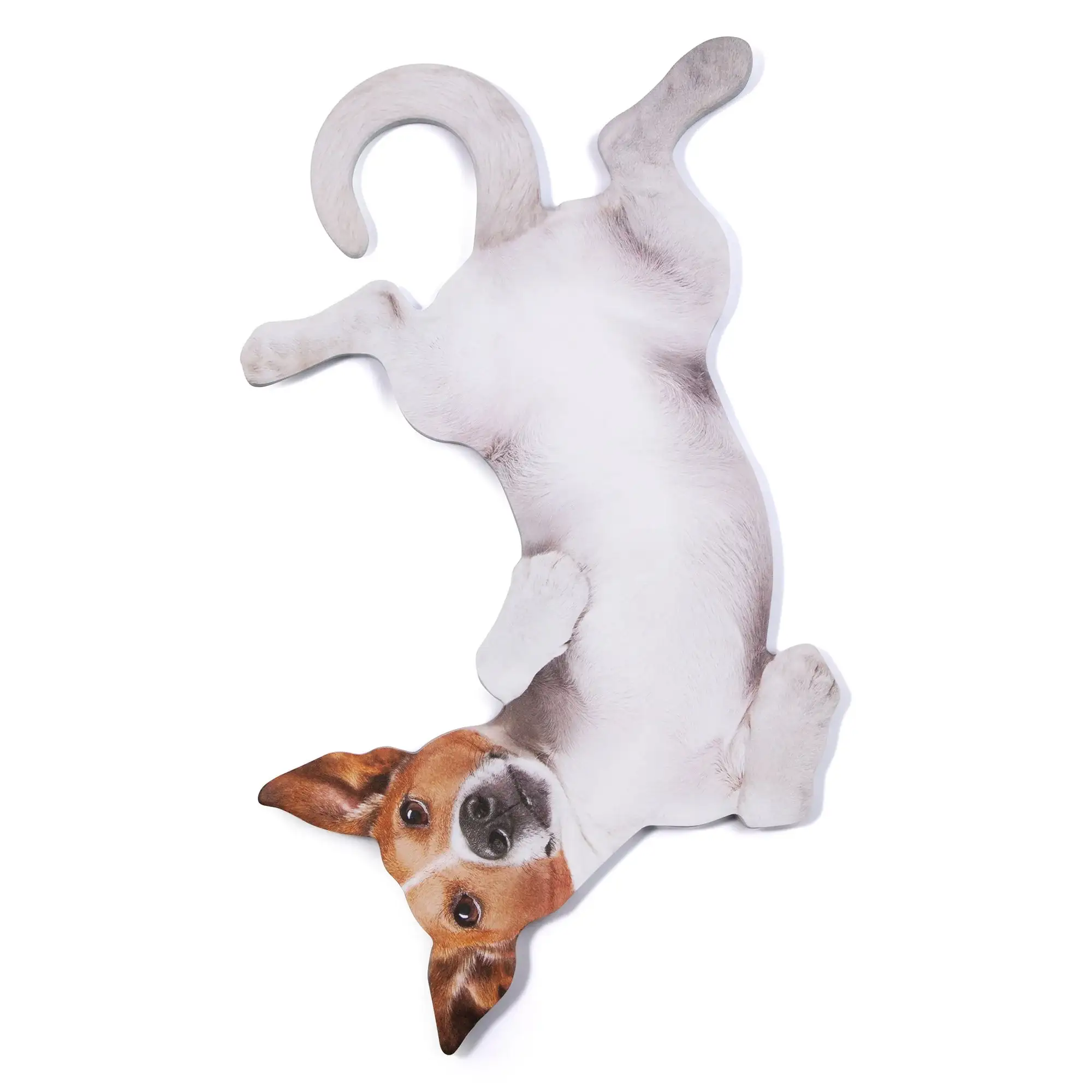Dog Hanging Sticky Notes - Image 3