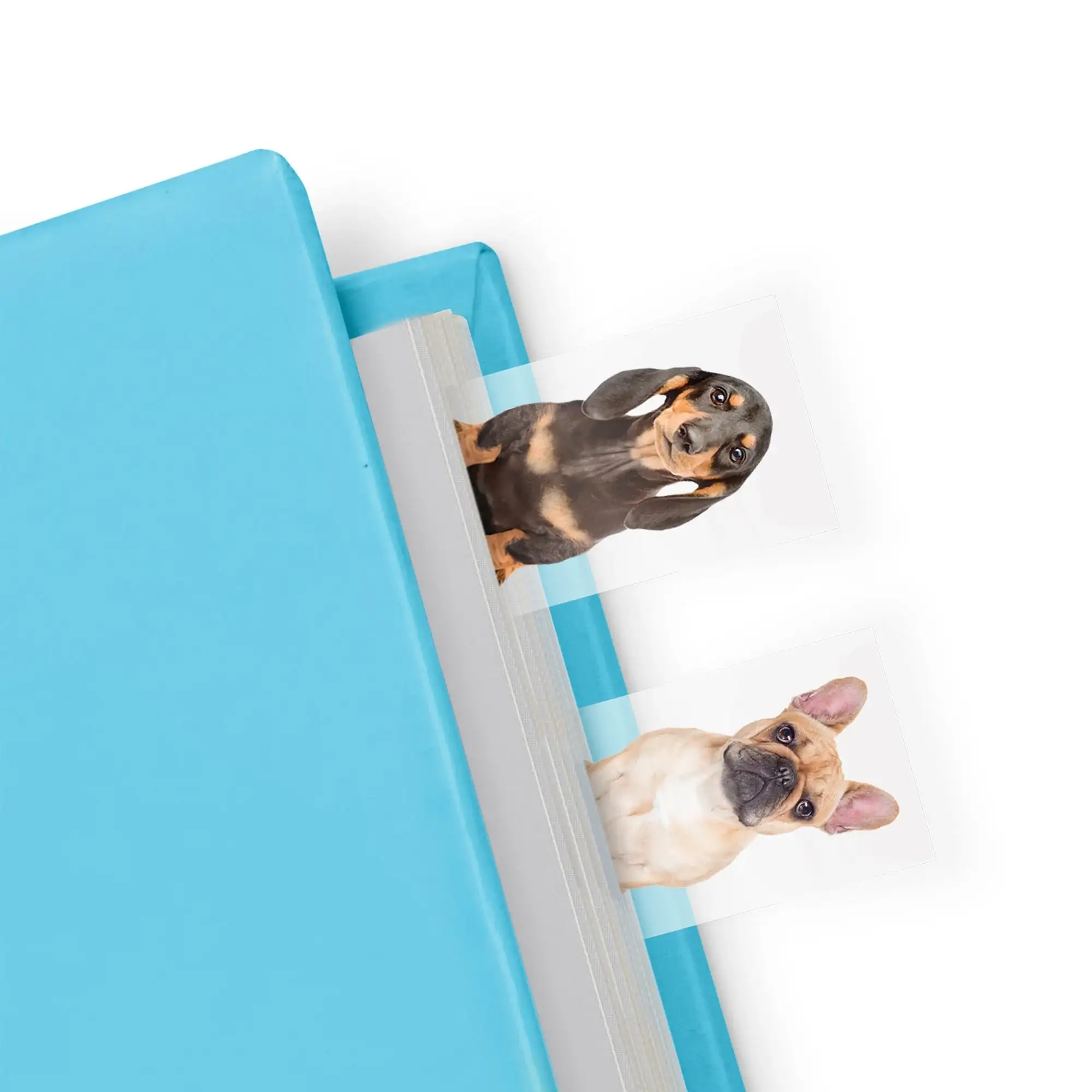 Dog In A Book page Markers
