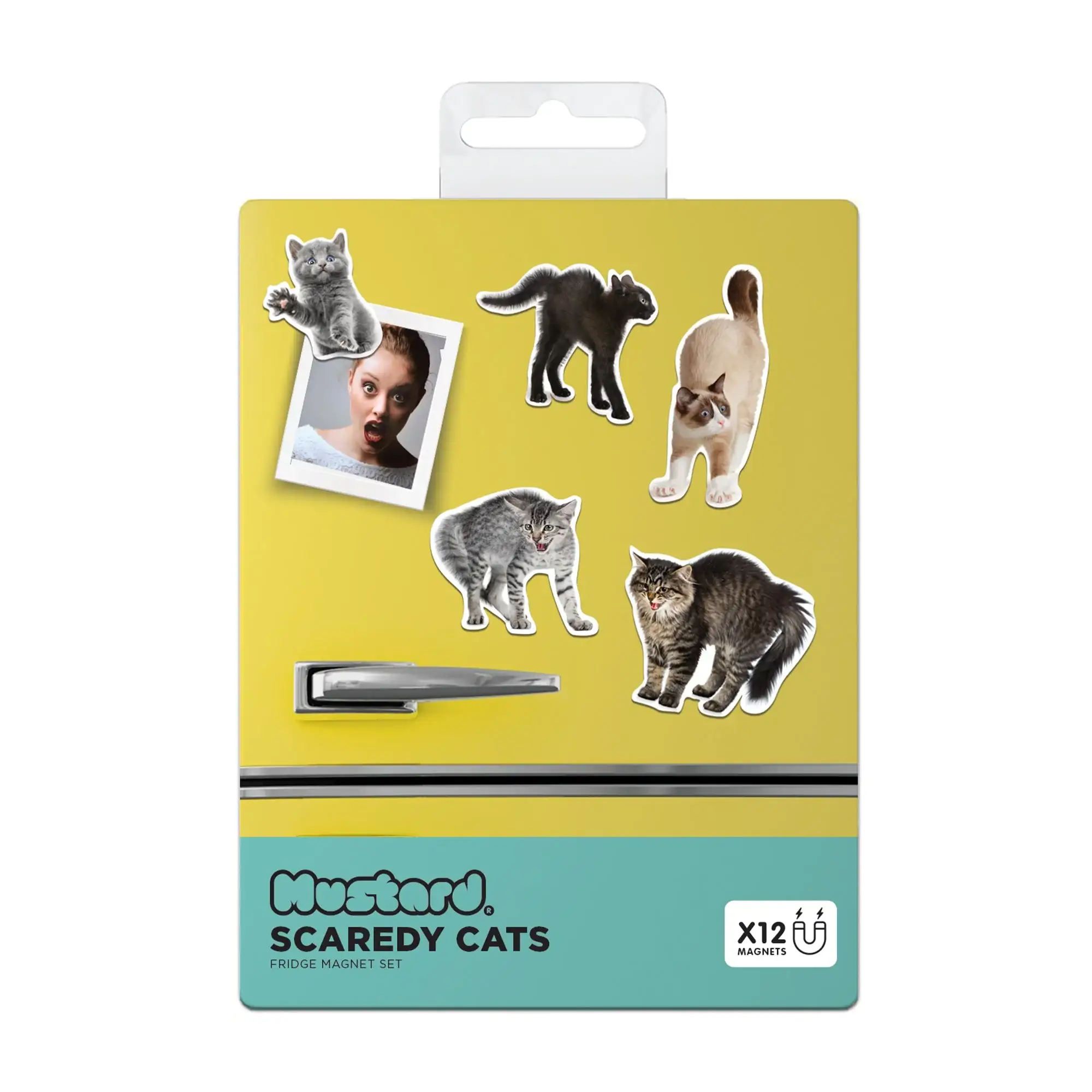 Scaredy Cat Fridge Magnets - Image 4