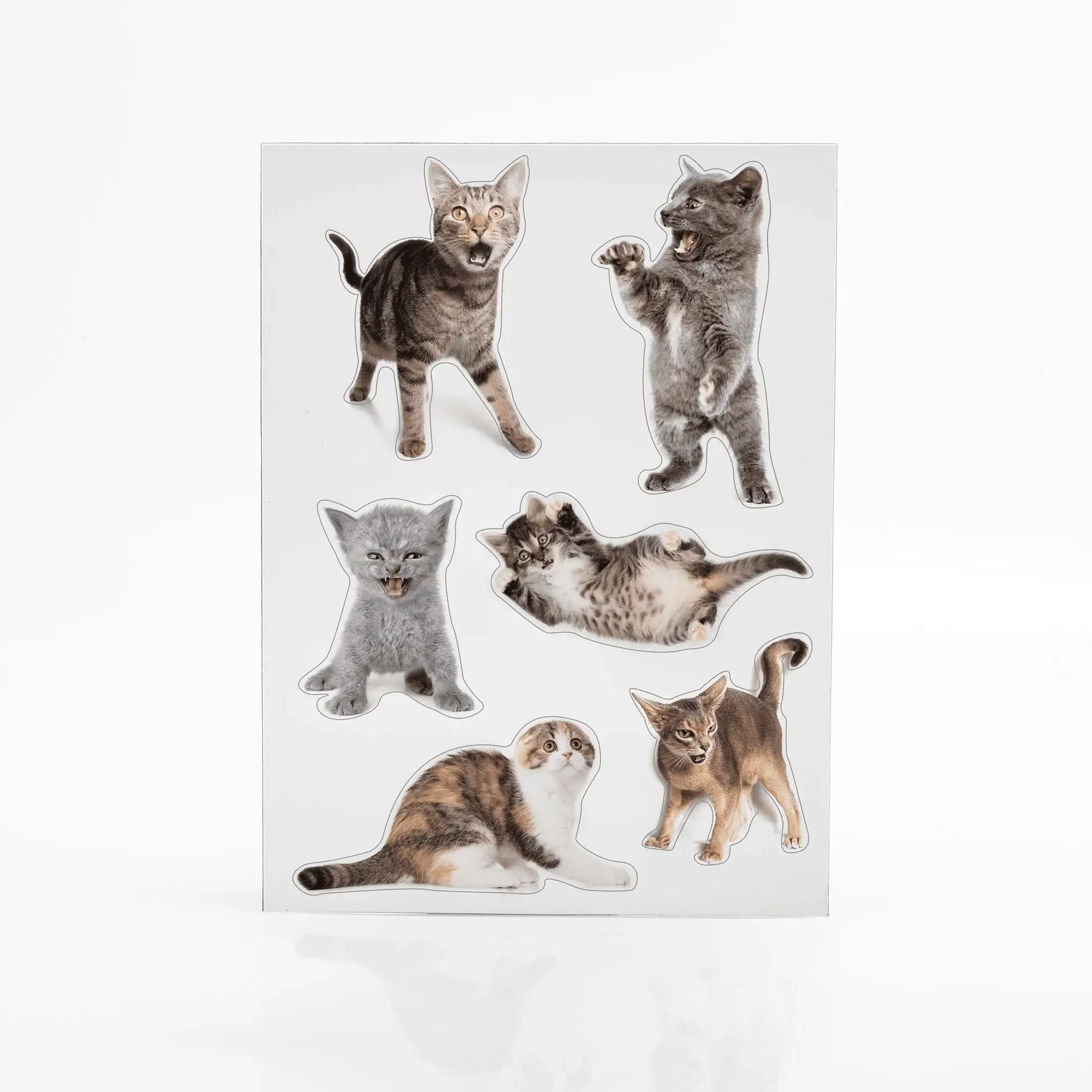 Scaredy Cat Fridge Magnets - Image 5