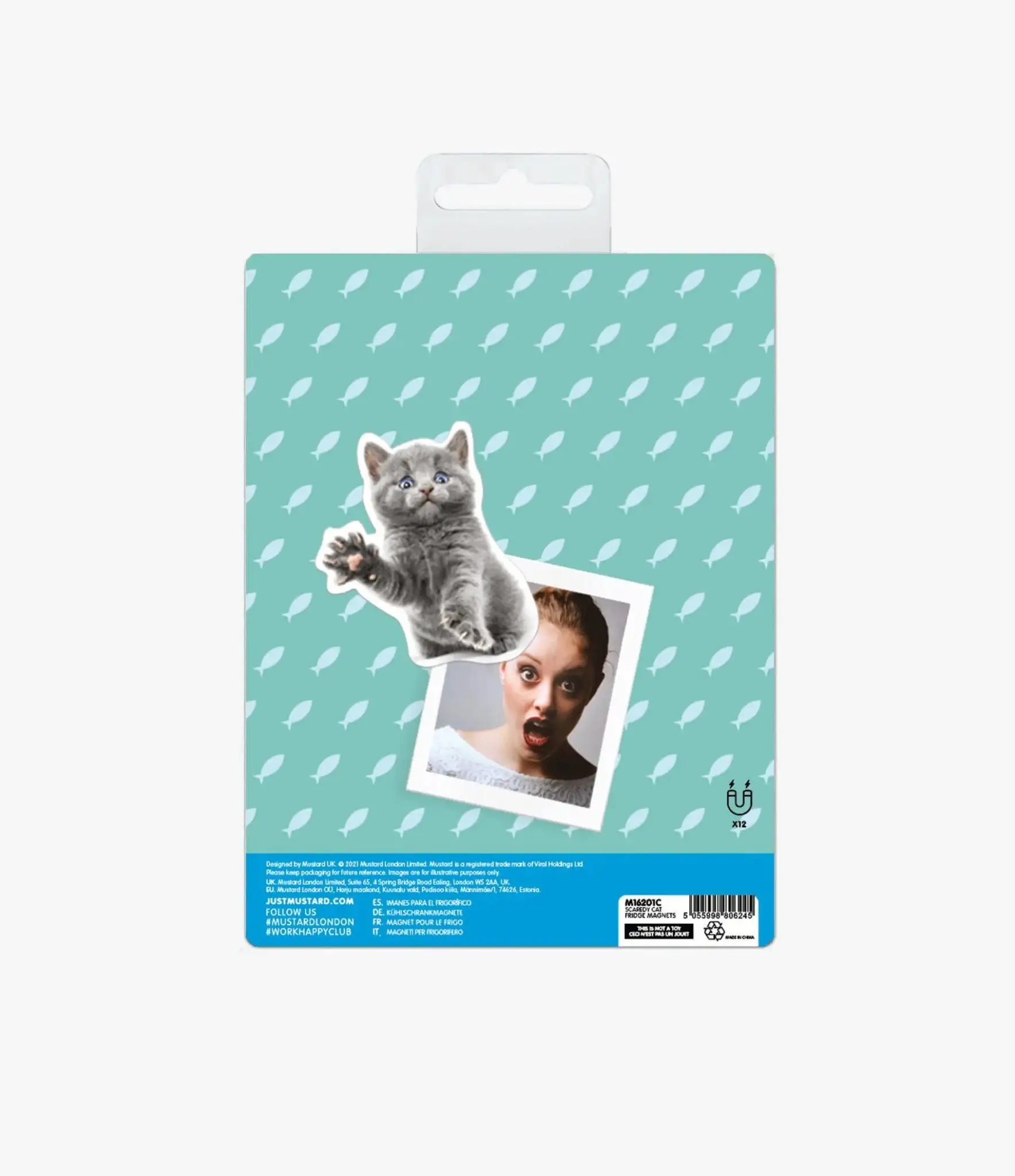 Scaredy Cat Fridge Magnets - Image 7